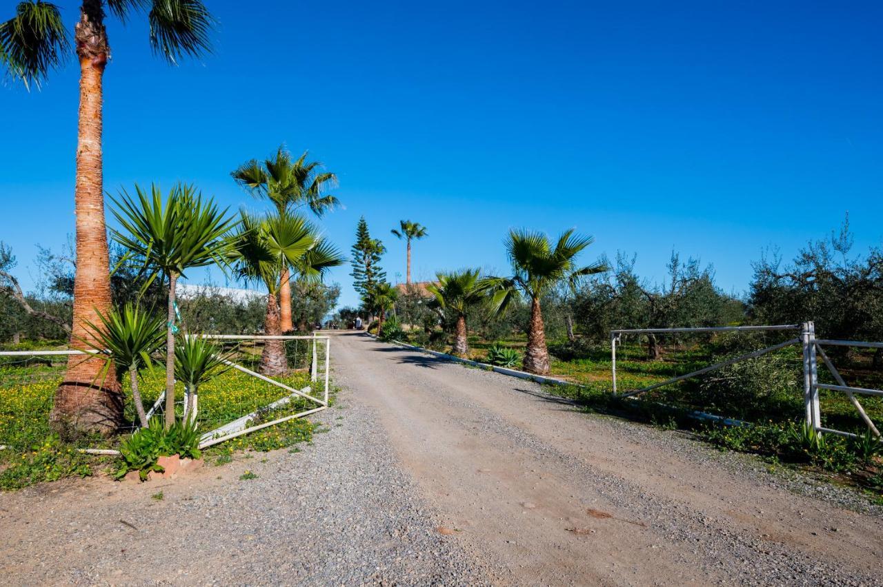 El Paraiso Del Olivar Bollullos de la Mitación Екстериор снимка