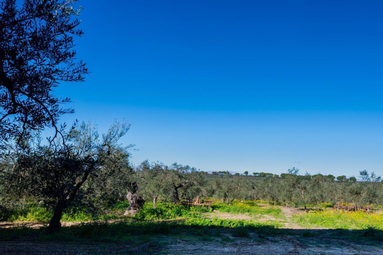 El Paraiso Del Olivar Bollullos de la Mitación Екстериор снимка
